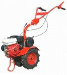 Агат Х walk-hjulet traktor let benzin Foto