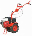 Агат Р-6 walk-hjulet traktor gennemsnit benzin Foto