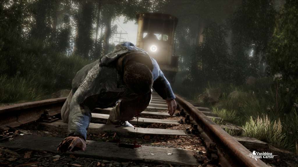 The Vanishing of Ethan Carter Steam Gift, 7.9 usd