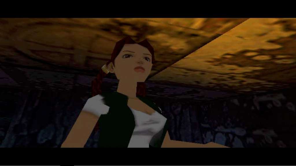 Tomb Raider V: Chronicles Steam Gift, 56.49 usd
