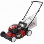 çim biçme makinesi CRAFTSMAN 38903