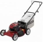 lawn mower CRAFTSMAN 38842 petrol Photo