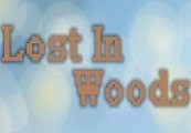 Lost in Woods 2 Steam CD Key, 0.96 usd