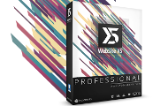 WebSite X5 Professional CD Key, 192.43 usd