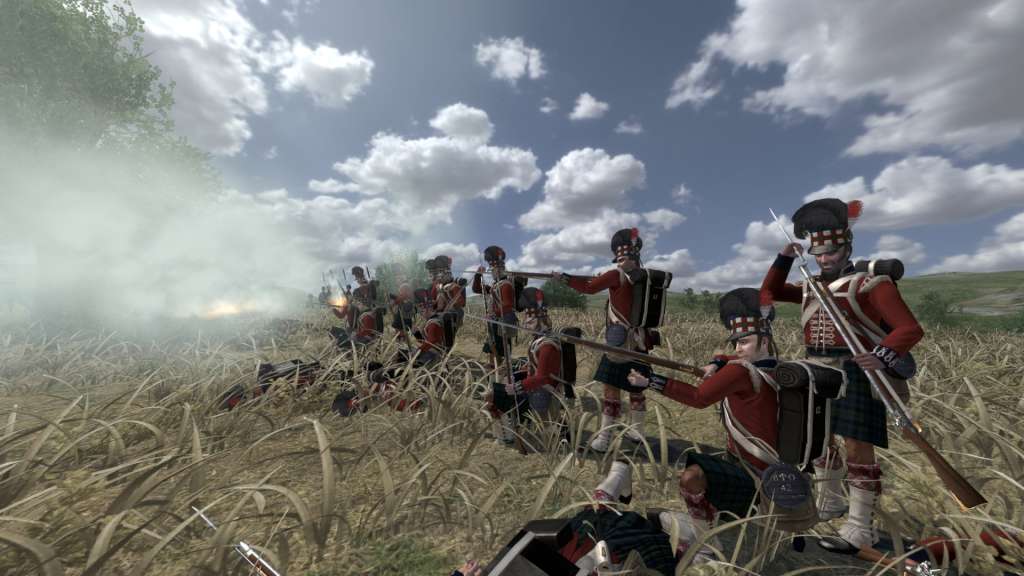 Mount & Blade: Warband - Napoleonic Wars DLC Steam Gift, 5.6 usd