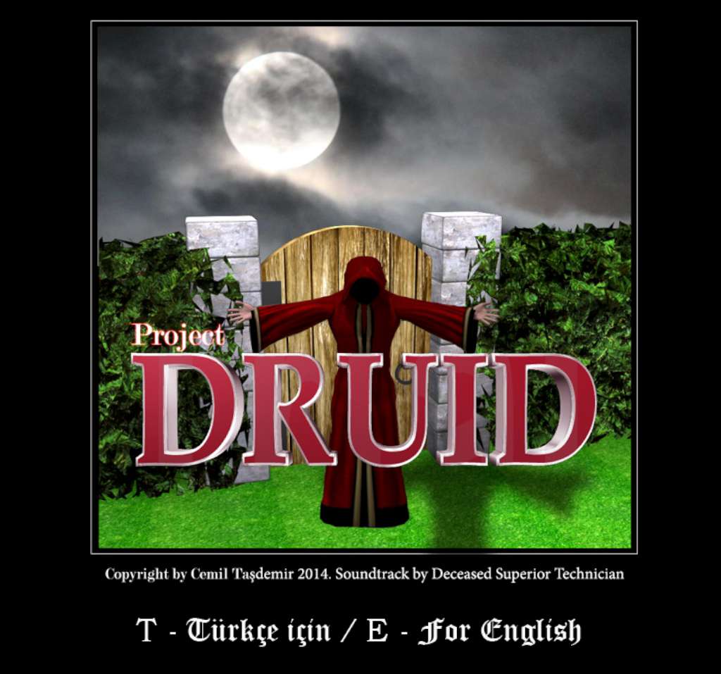 Project Druid - 2D Labyrinth Explorer- Steam CD Key, 0.54 usd