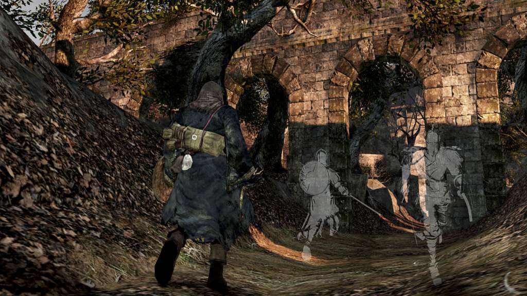 Dark Souls II Steam Account, 19.21 usd