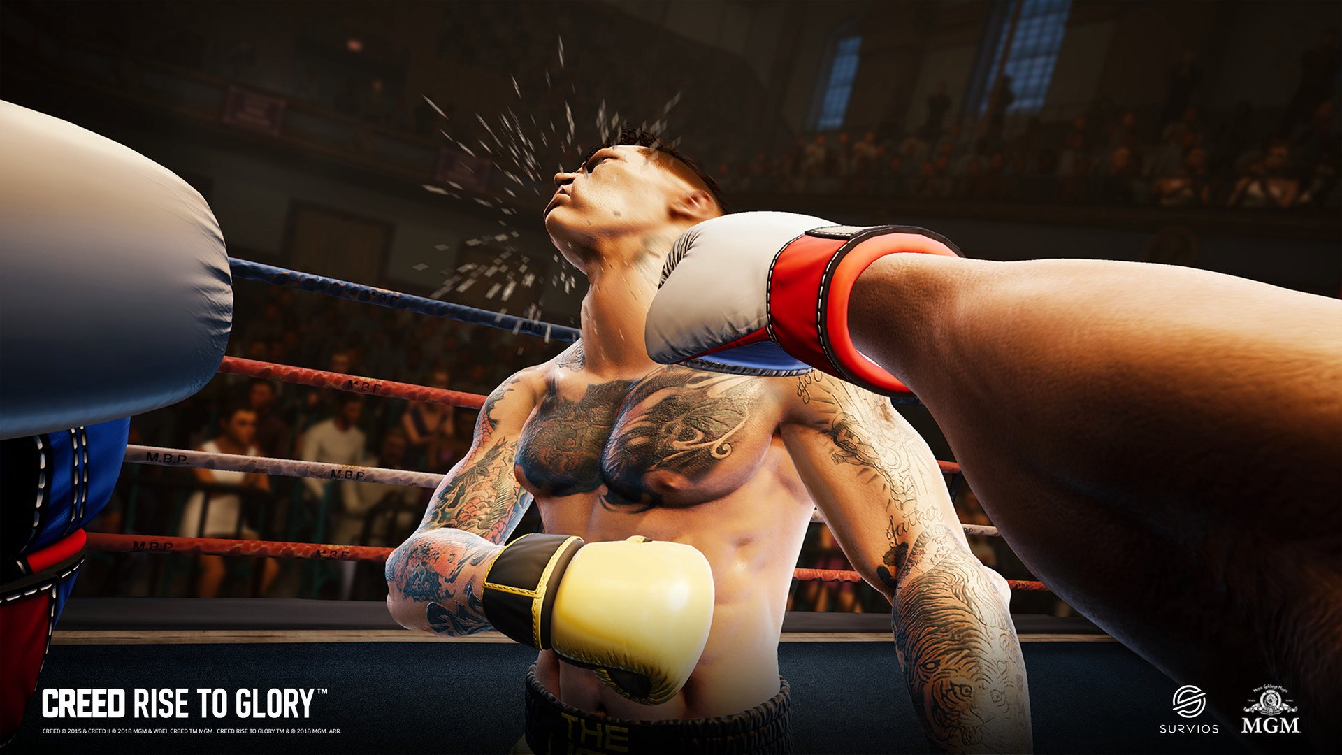 Creed: Rise to Glory Steam CD Key, 10.71 usd