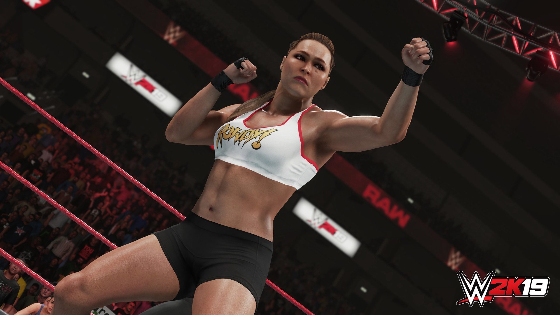 WWE 2K19 PlayStation 4 Account pixelpuffin.net Activation Link, 15.81 usd