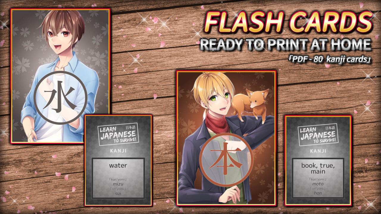 Learn Japanese To Survive! Kanji Combat - Flash Cards DLC Steam CD Key, 0.95 usd