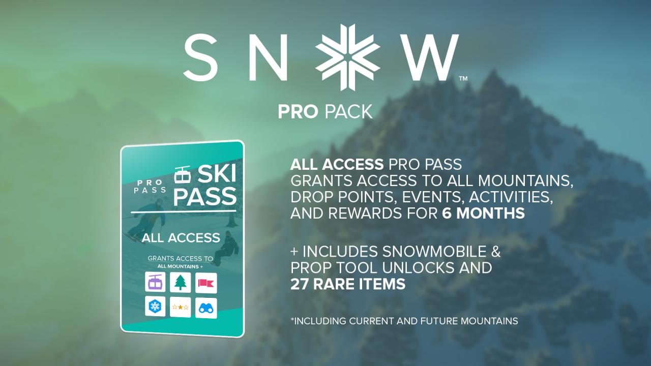SNOW - Pro Pack DLC EU Steam CD Key, 0.53 usd