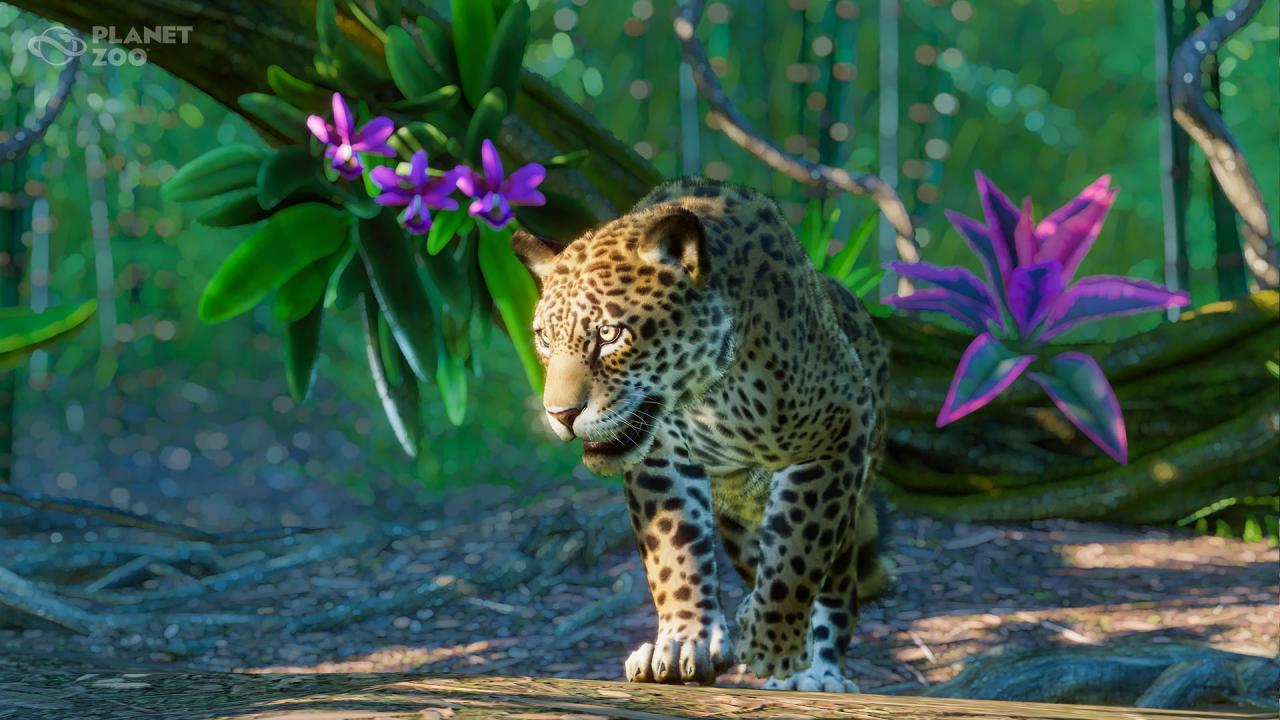 Planet Zoo - South America Pack DLC Steam Altergift, 12.5 usd