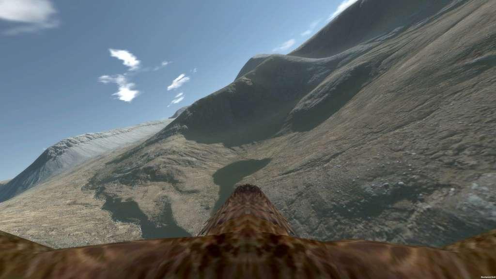 Aquila Bird Flight Simulator Steam CD Key, 1.45 usd