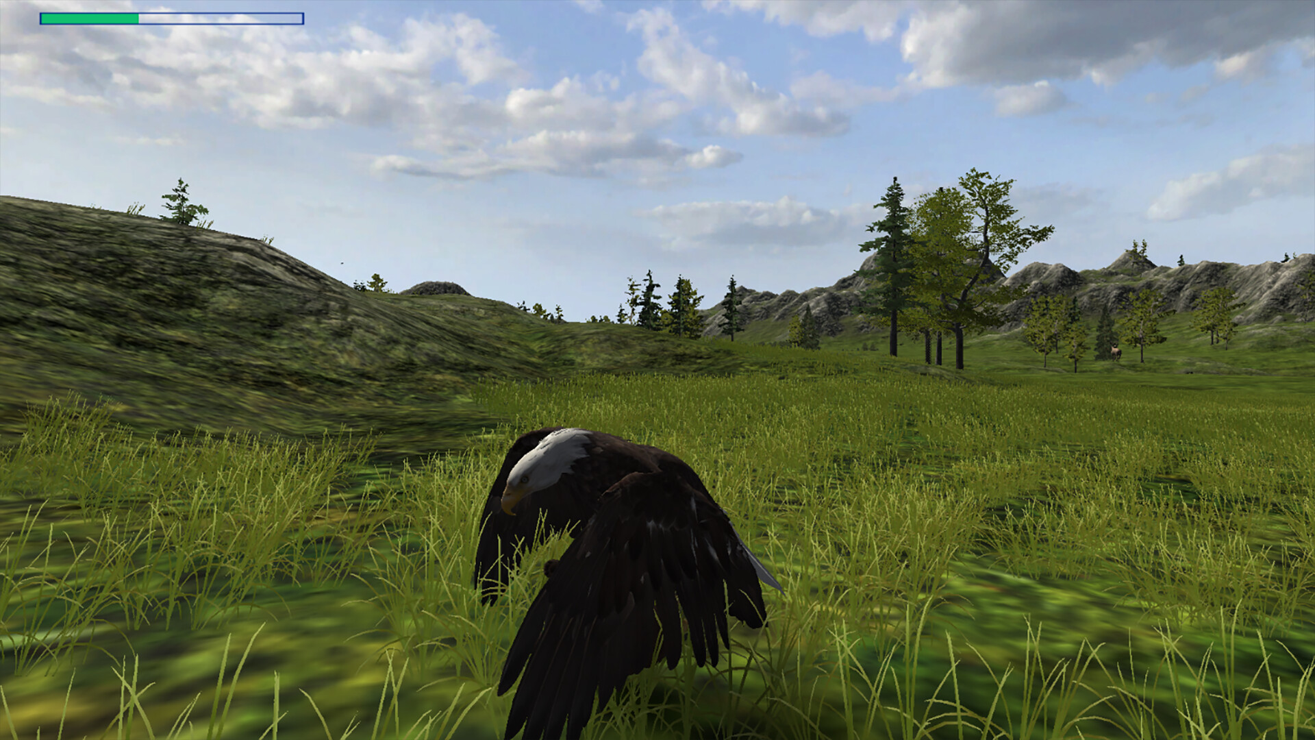 Eagle Hunting Journey Steam CD Key, 0.41 usd