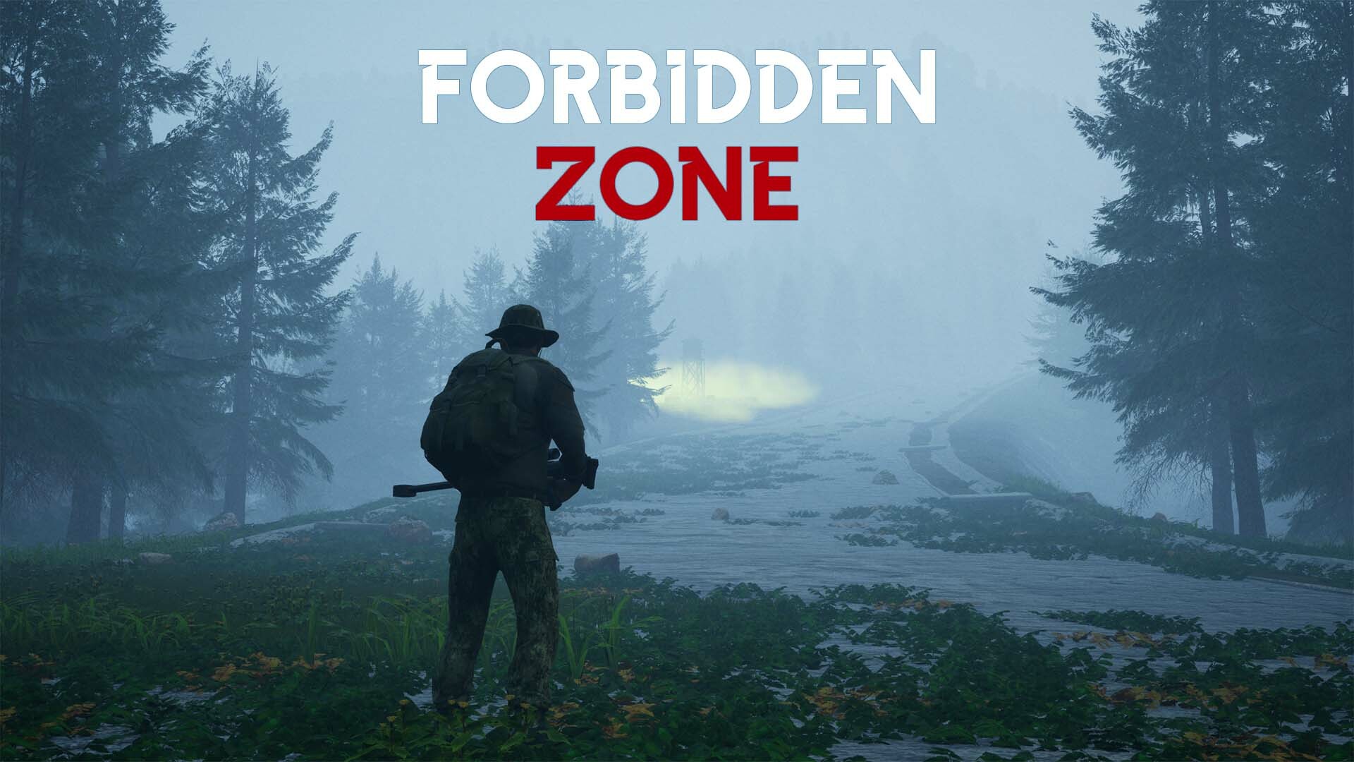 Forbidden zone Steam CD Key, 2.44 usd