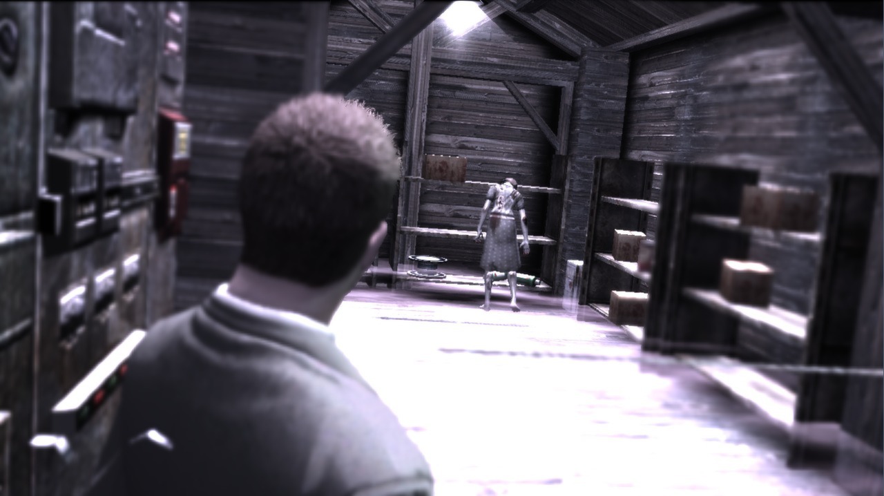 Deadly Premonition: The Director's Cut - Deluxe Edition Steam Gift, 20.33 usd