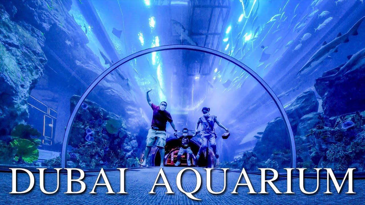 Dubai Aquarium & Underwater Zoo 50 AED Gift Card AE, 16.02 usd