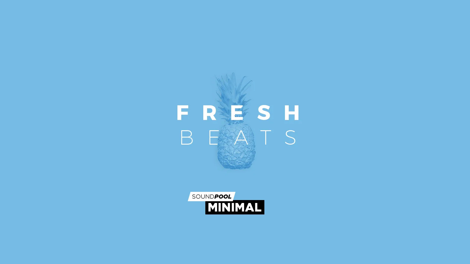 MAGIX Soundpool Fresh Beats ProducerPlanet CD Key, 5.65 usd