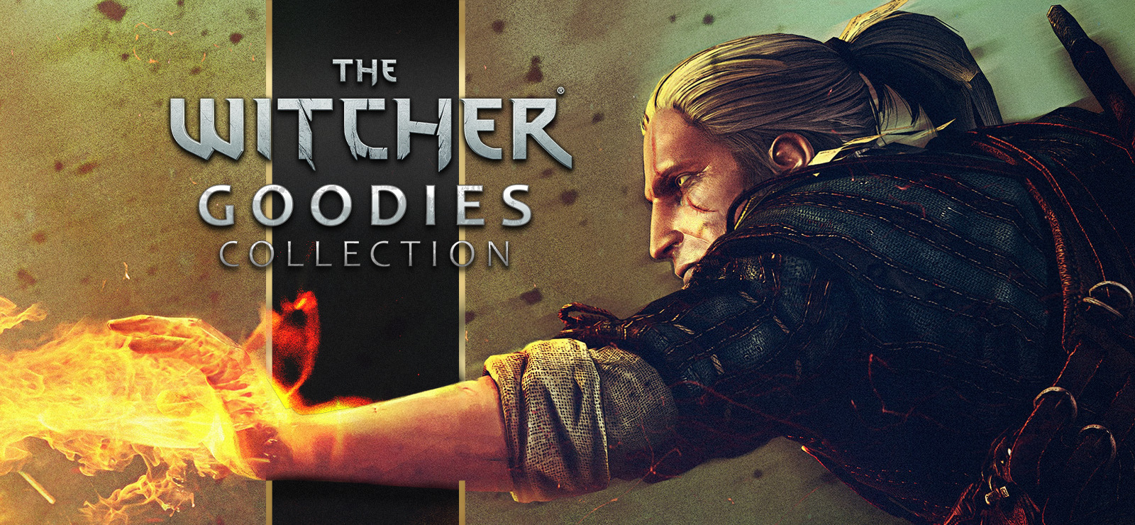 The Witcher - Goodies Collection GOG CD Key, 2.54 usd