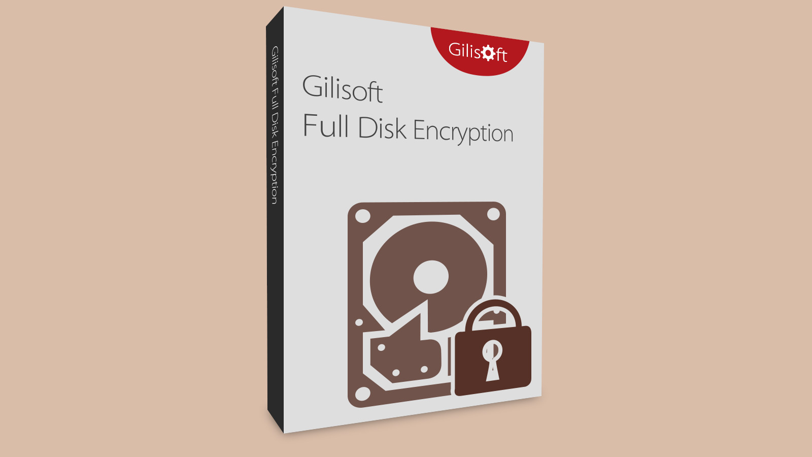 Gilisoft Full Disk Encryption CD Key, 19.72 usd