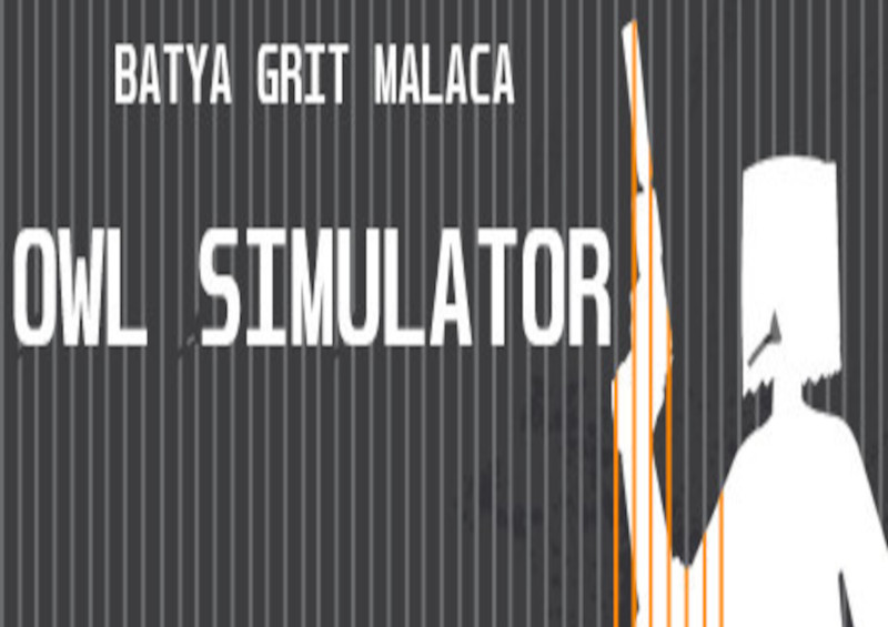 Owl Simulator Steam CD Key, 0.18 usd